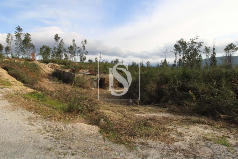 Terreno Agricola ou Rústico para Venda em Salvador do Monte Foto 9