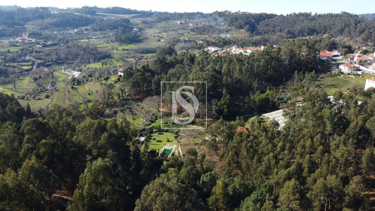 Terreno Agricola ou Rústico para Venda em Telões Foto 19