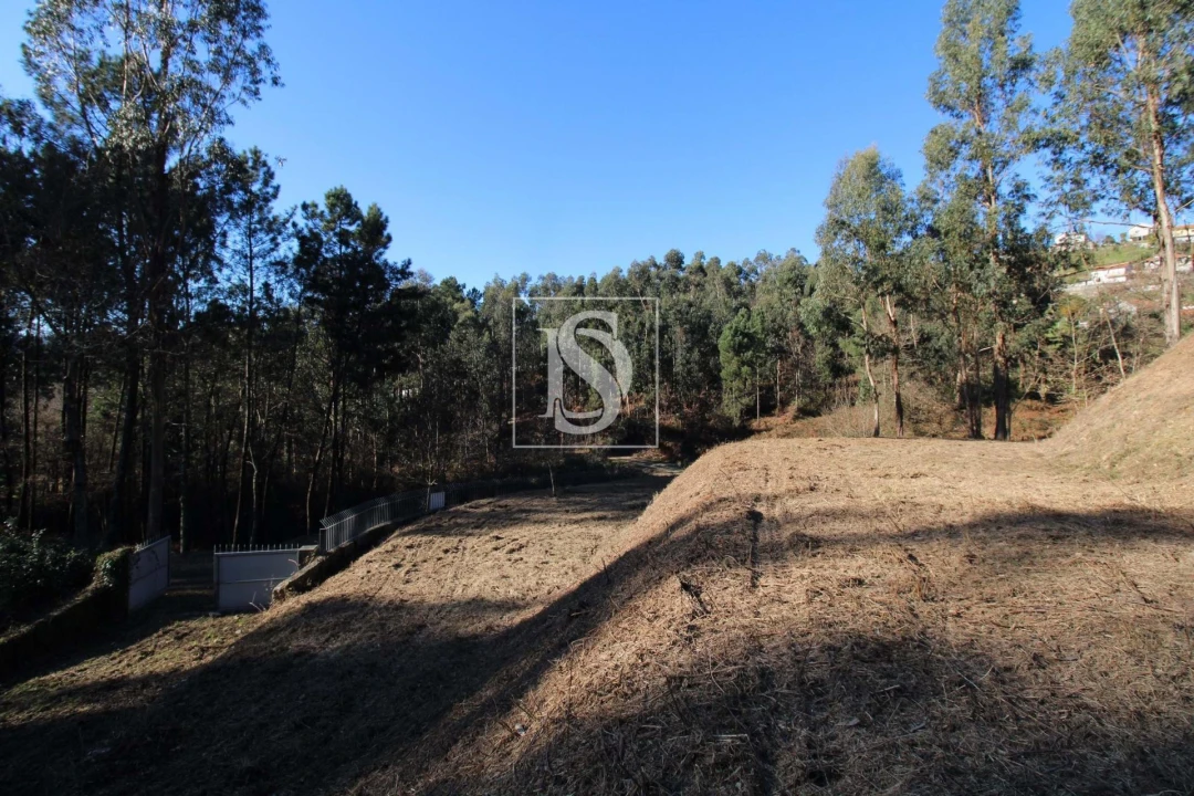 Terreno Agricola ou Rústico para Venda em Telões Foto 10