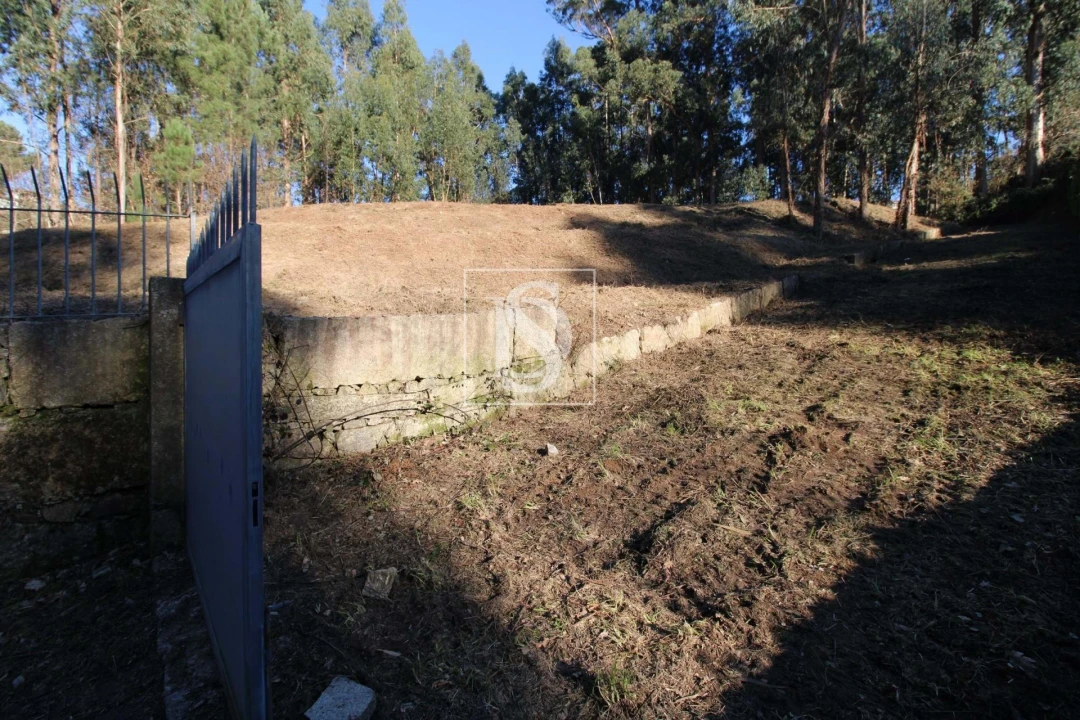 Terreno Agricola ou Rústico para Venda em Telões Foto 12