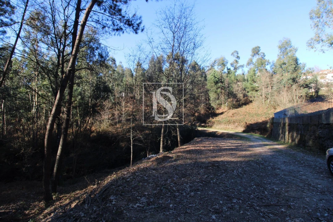 Terreno Agricola ou Rústico para Venda em Telões Foto 17