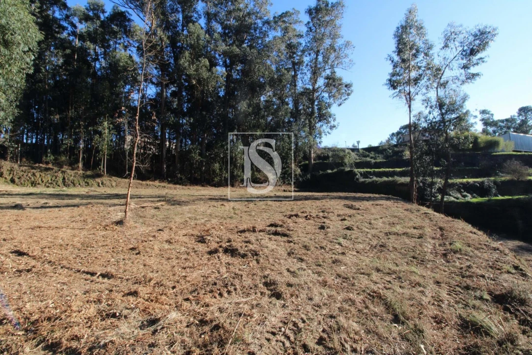 Terreno Agricola ou Rústico para Venda em Telões Foto 6
