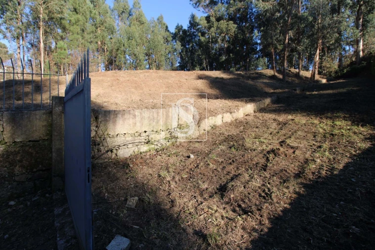 Terreno Agricola ou Rústico para Venda em Telões Foto 11