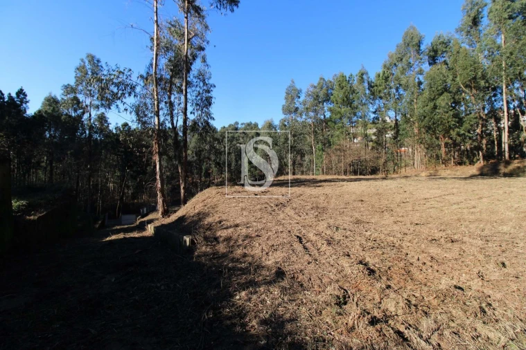 Terreno Agricola ou Rústico para Venda em Telões Foto 13