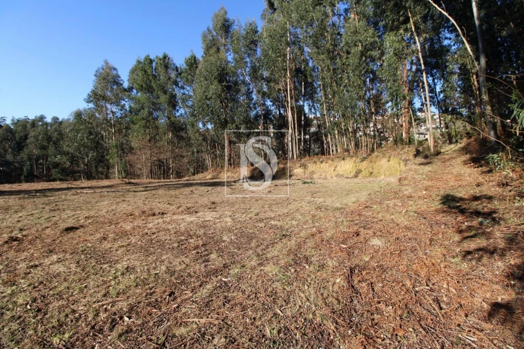 Terreno Agricola ou Rústico para Venda em Telões Foto 7