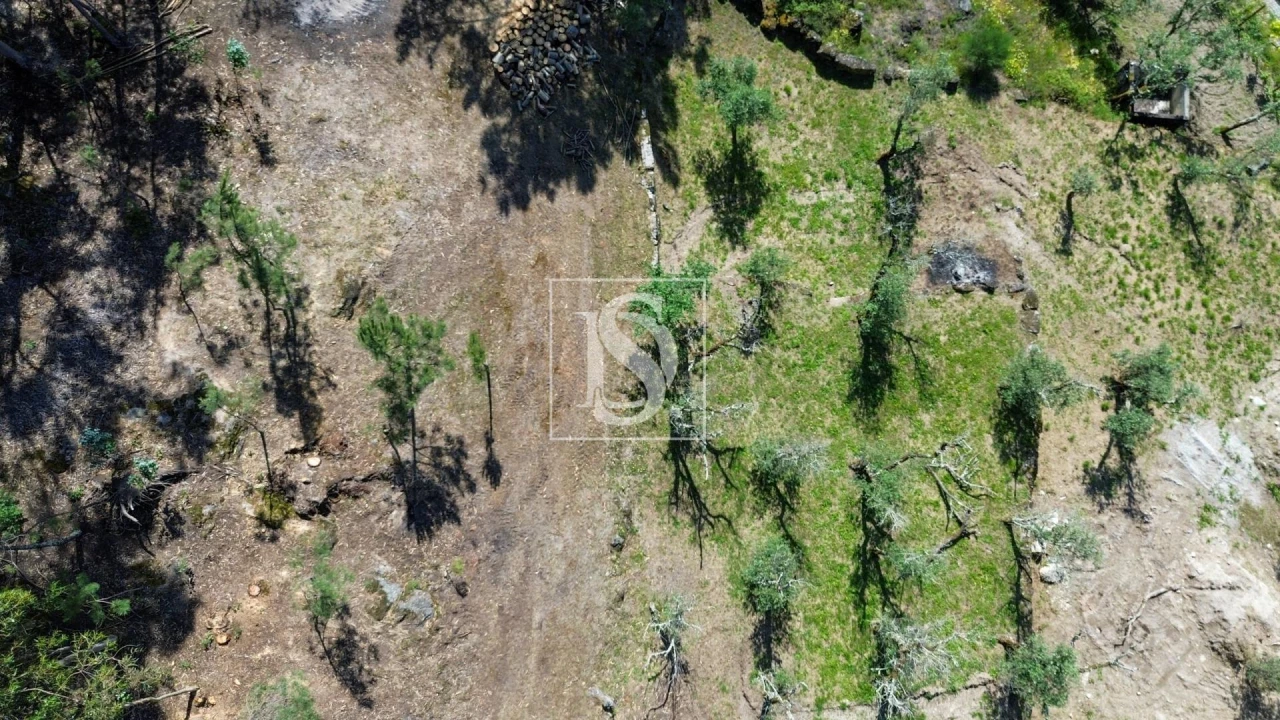 Terreno para Venda em Espírito Santo, Nossa Senhora da Graça e São Simão Foto 13