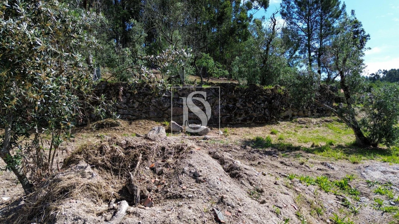 Terreno para Venda em Espírito Santo, Nossa Senhora da Graça e São Simão Foto 15