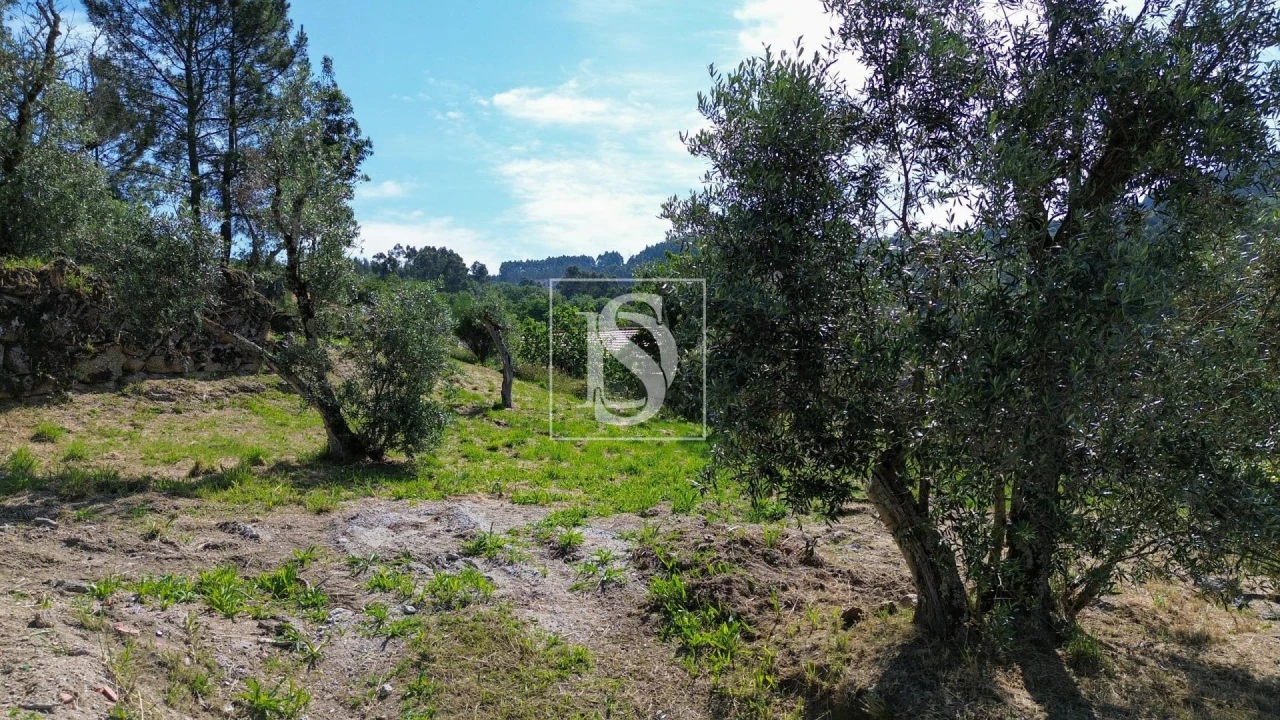 Terreno para Venda em Espírito Santo, Nossa Senhora da Graça e São Simão Foto 16