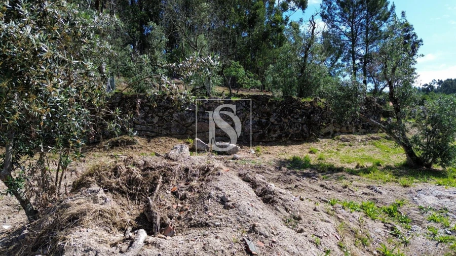 Terreno para Venda em Espírito Santo, Nossa Senhora da Graça e São Simão Foto 15