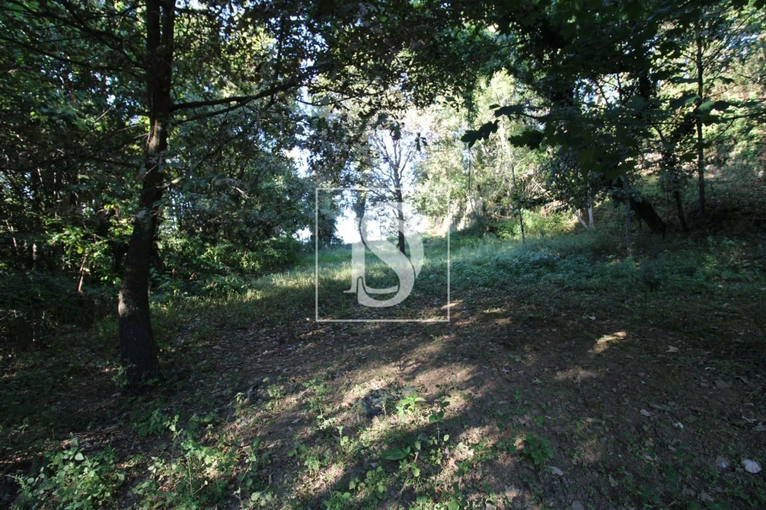 Terreno Agricola ou Rústico para Venda em Rebordelo Foto 2