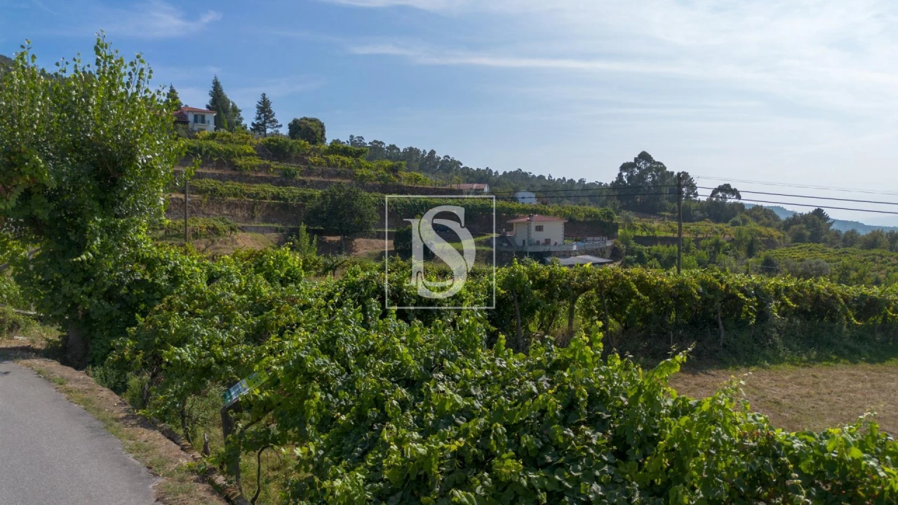 Terreno para Venda em Espírito Santo, Nossa Senhora da Graça e São Simão Foto 23