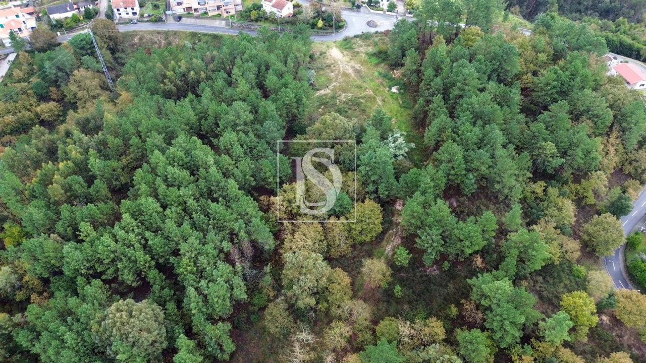 Terreno para Venda em Lufrei Foto 10