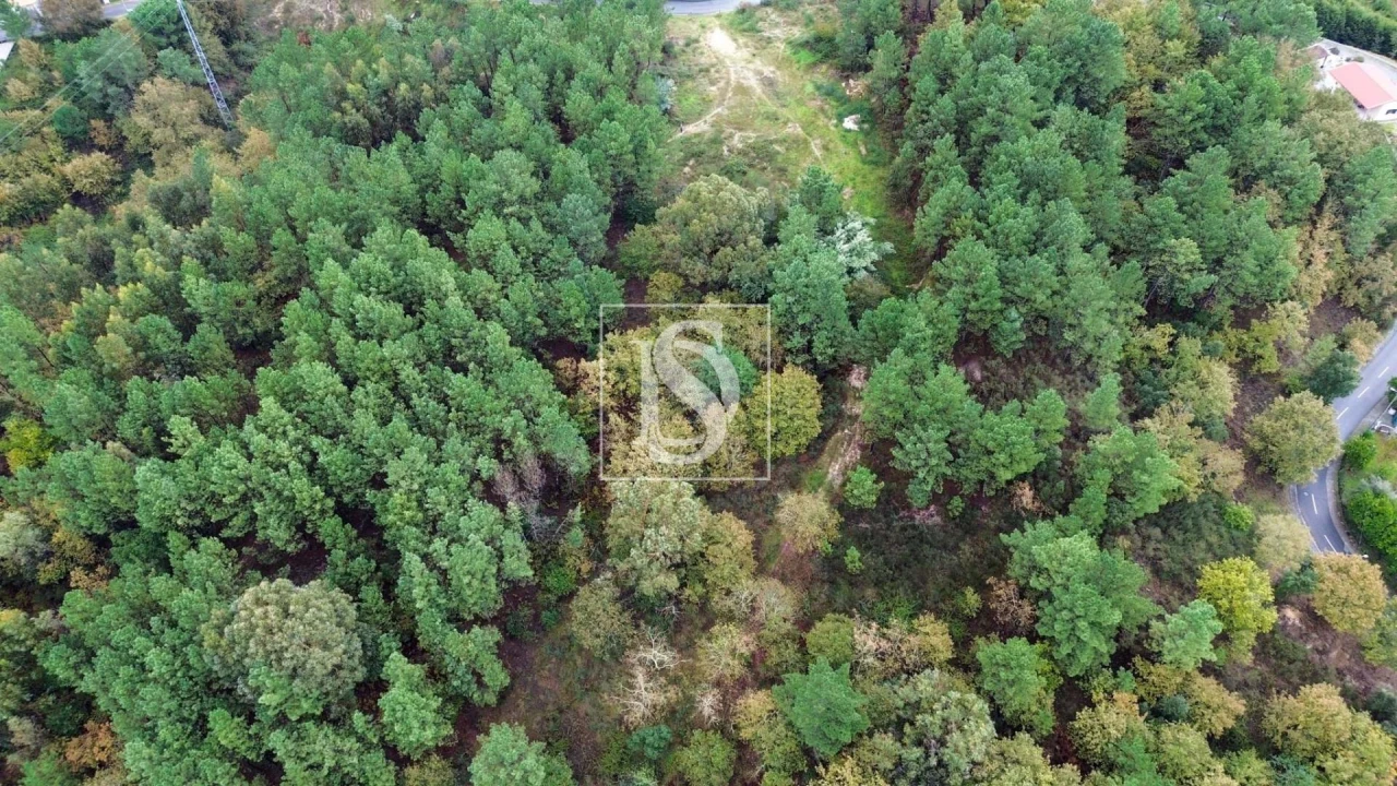 Terreno para Venda em Lufrei Foto 12