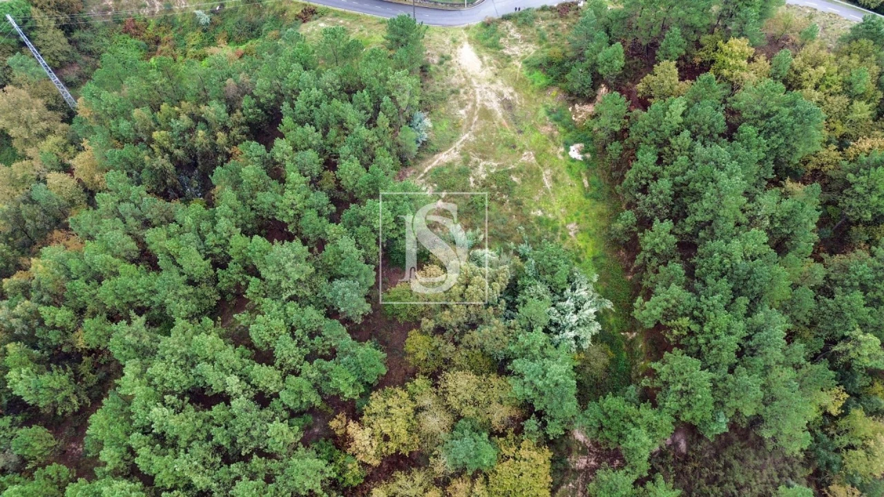 Terreno para Venda em Lufrei Foto 16