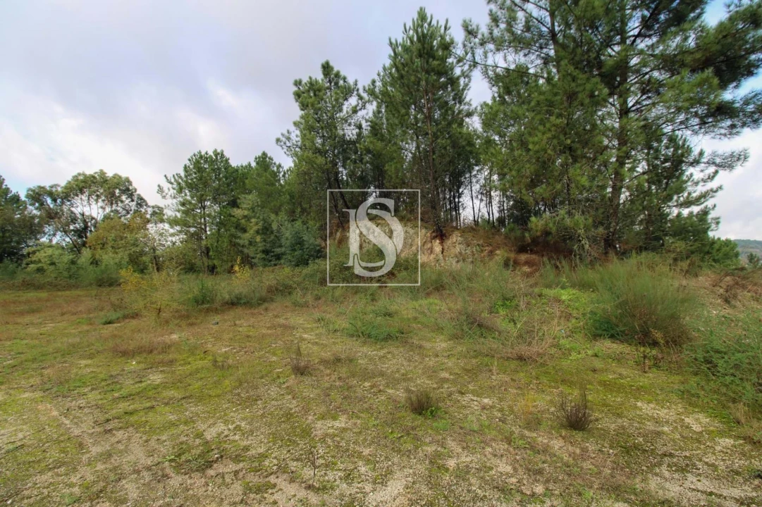 Terreno para Venda em Lufrei Foto 20