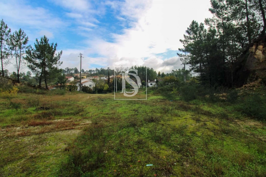 Terreno para Venda em Lufrei Foto 27