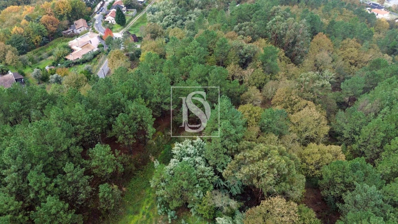 Terreno para Venda em Lufrei Foto 7