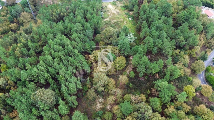 Terreno para Venda em Lufrei Foto 12