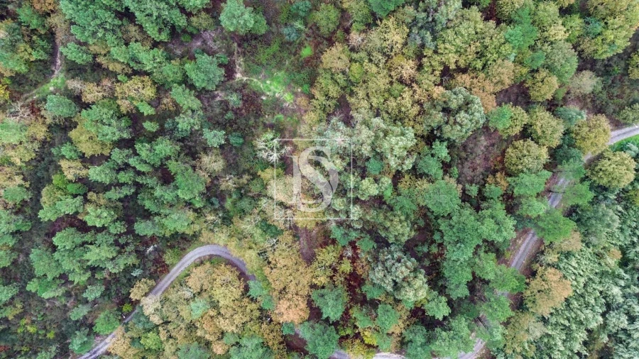 Terreno para Venda em Lufrei Foto 13