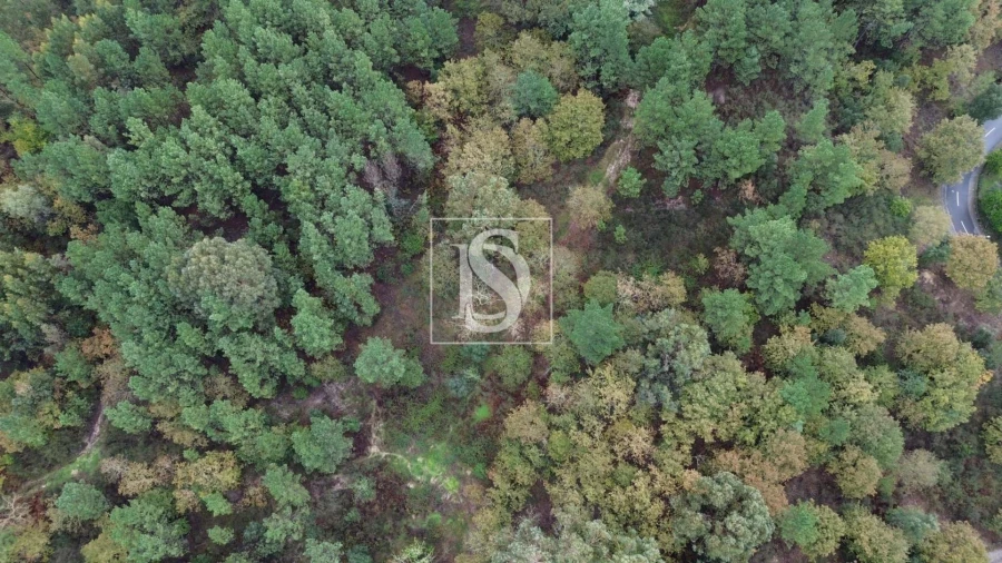 Terreno para Venda em Lufrei Foto 14