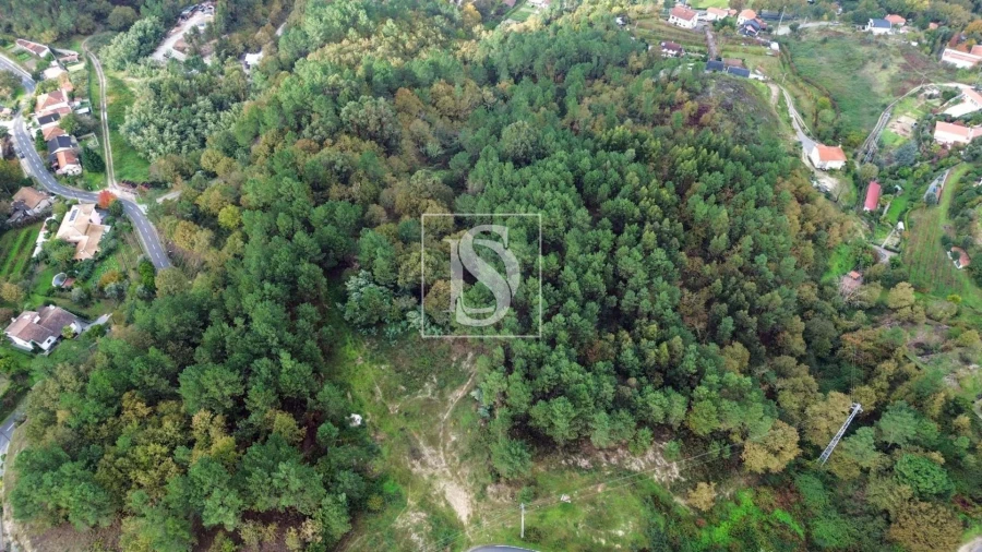 Terreno para Venda em Lufrei Foto 2