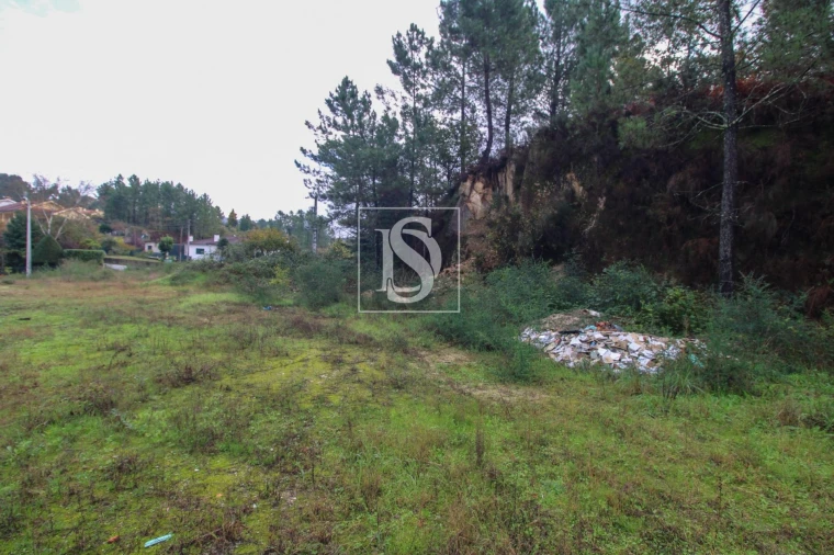 Terreno para Venda em Lufrei Foto 28