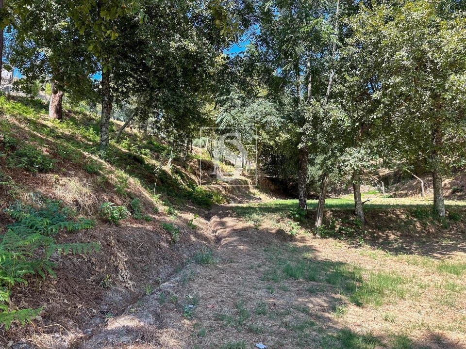 Terreno para Venda em Lufrei Foto 2