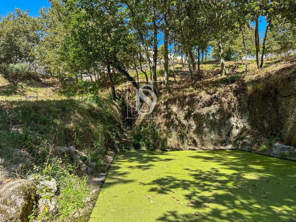 Terreno para Venda em Lufrei Foto 5