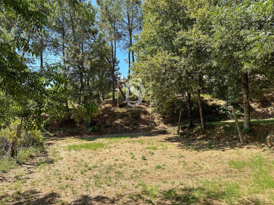 Terreno para Venda em Lufrei Foto 7