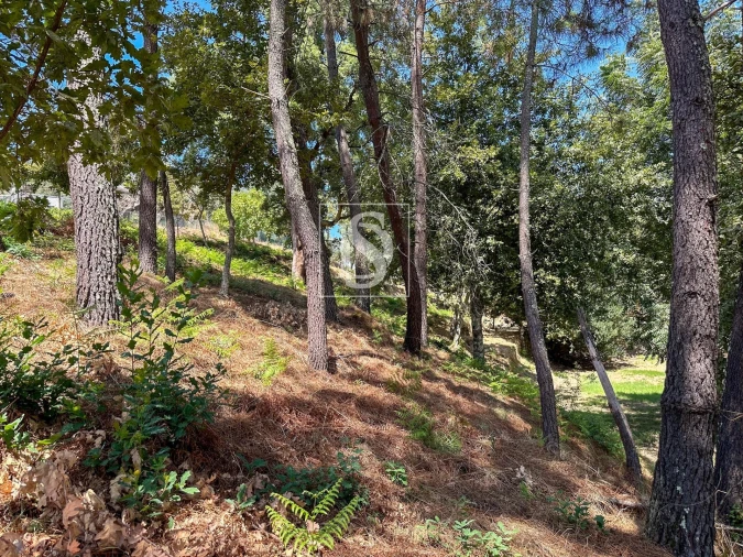 Terreno para Venda em Lufrei Foto 9