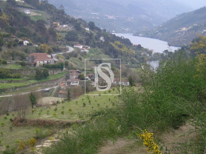 Terreno para Venda em Penhalonga e Paços de Gaiolo Foto 3