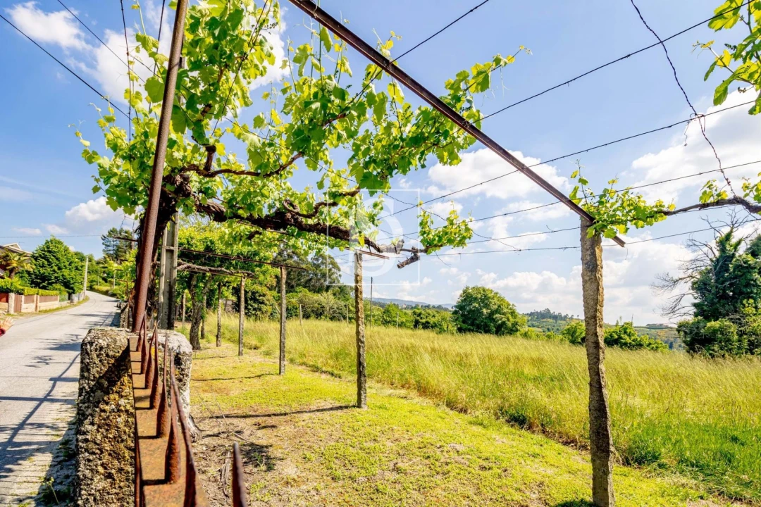 Moradia T3 para Venda em Lufrei Foto 12