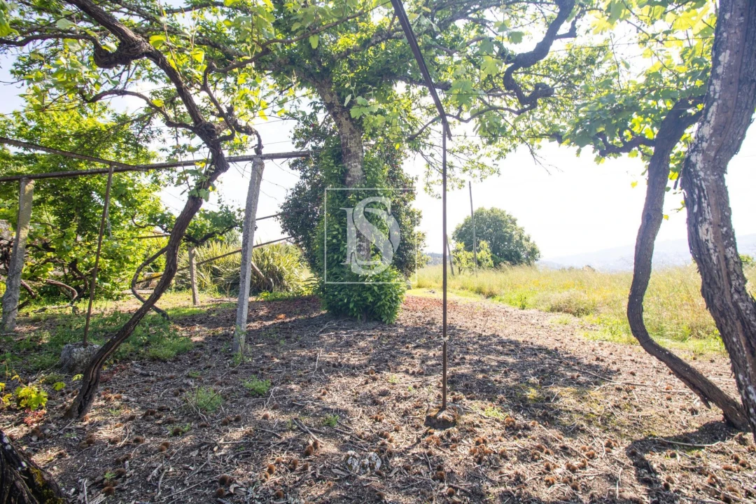 Moradia T3 para Venda em Lufrei Foto 20