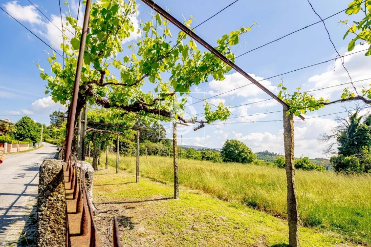 Moradia T3 para Venda em Lufrei Foto 12