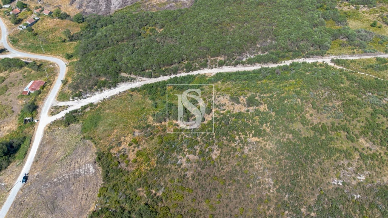 Terreno Agricola ou Rústico para Venda em Espírito Santo, Nossa Senhora da Graça e São Simão Foto 12