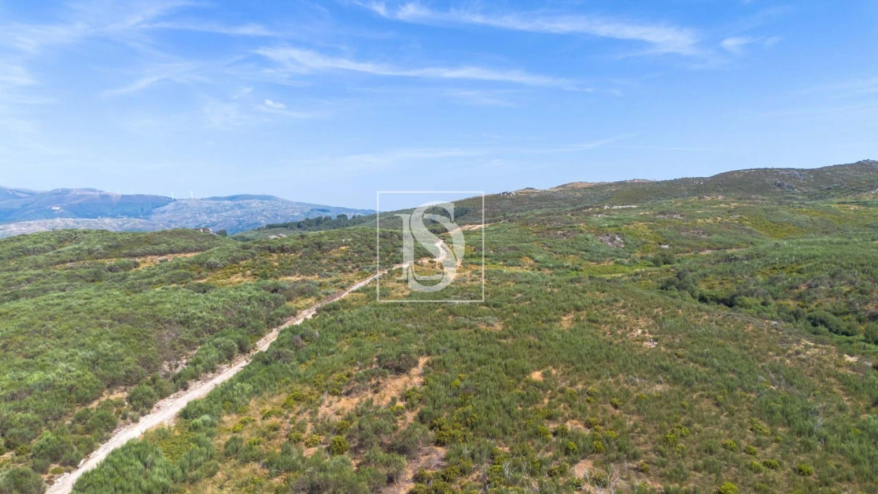 Terreno Agricola ou Rústico para Venda em Espírito Santo, Nossa Senhora da Graça e São Simão Foto 3