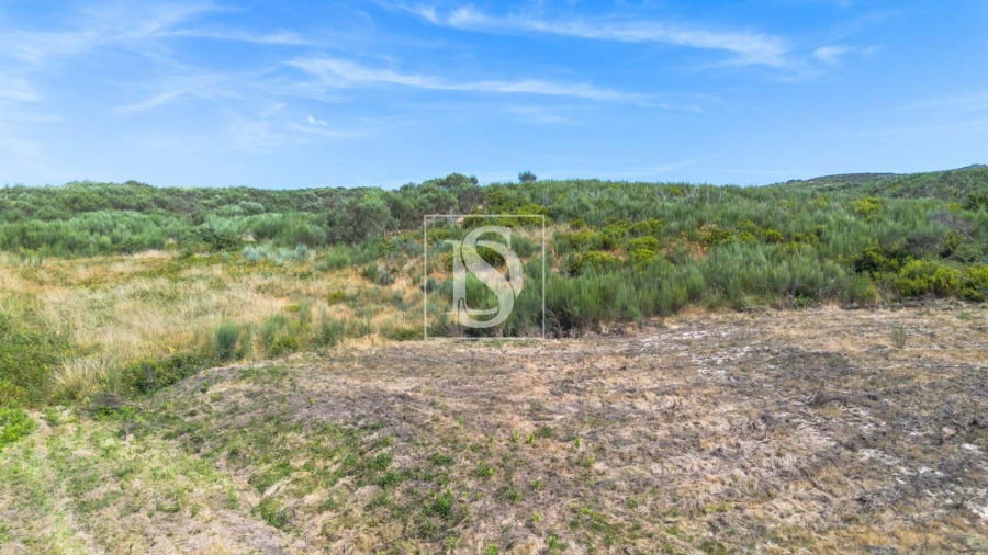Terreno Agricola ou Rústico para Venda em Espírito Santo, Nossa Senhora da Graça e São Simão Foto 2