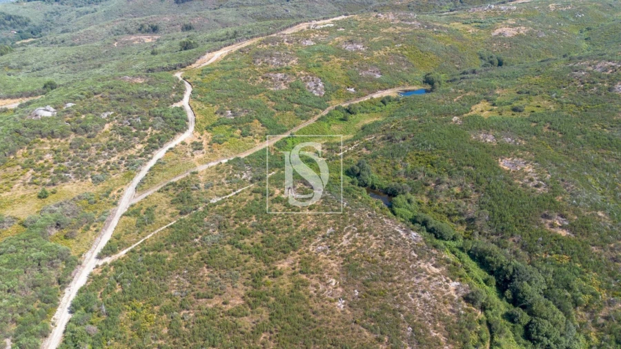 Terreno Agricola ou Rústico para Venda em Espírito Santo, Nossa Senhora da Graça e São Simão Foto 9