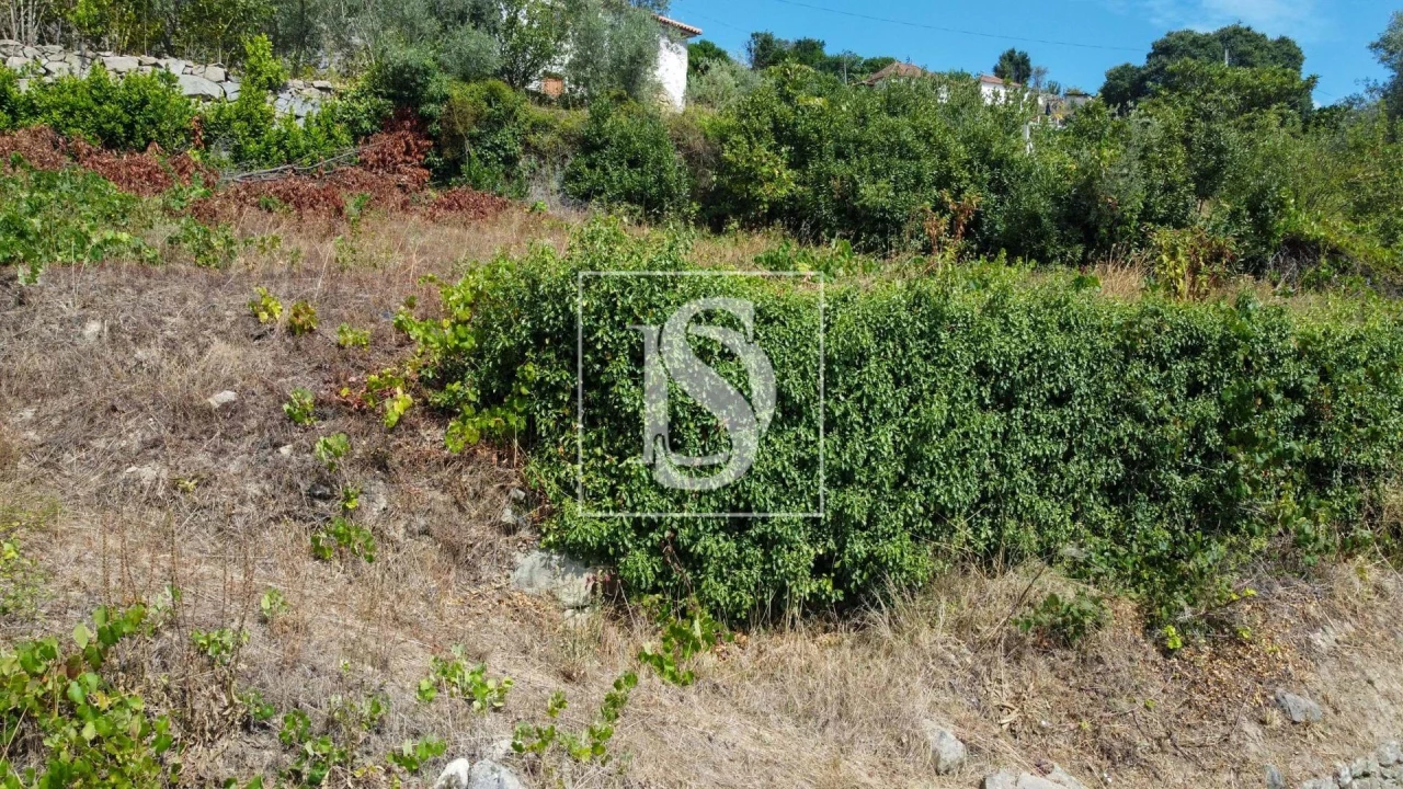 Terreno Agricola ou Rústico para Venda em Ancede e Ribadouro Foto 19