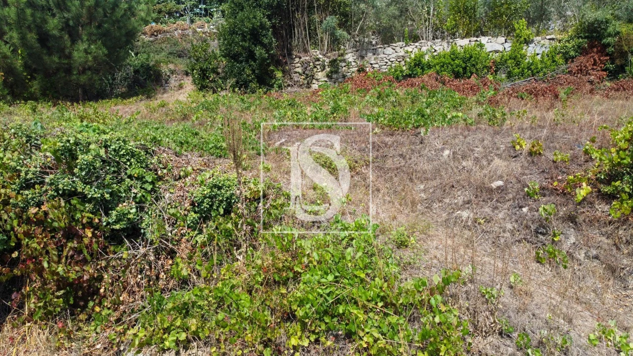Terreno Agricola ou Rústico para Venda em Ancede e Ribadouro Foto 20