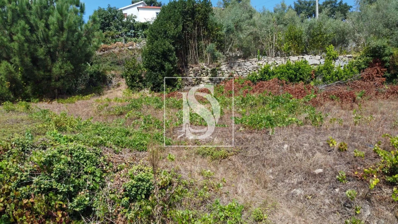 Terreno Agricola ou Rústico para Venda em Ancede e Ribadouro Foto 21