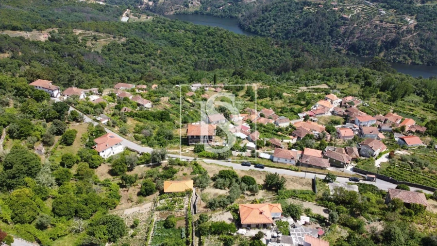 Terreno Agricola ou Rústico para Venda em Ancede e Ribadouro Foto 13