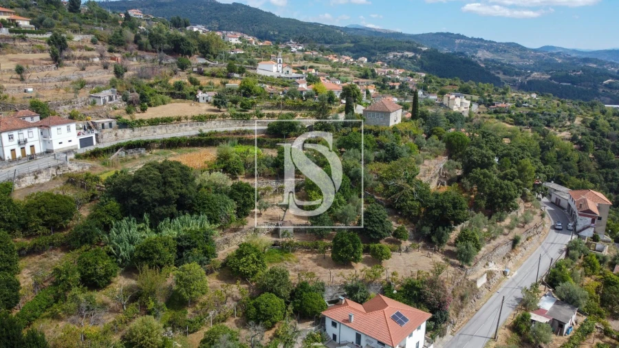 Terreno Agricola ou Rústico para Venda em Ancede e Ribadouro Foto 17
