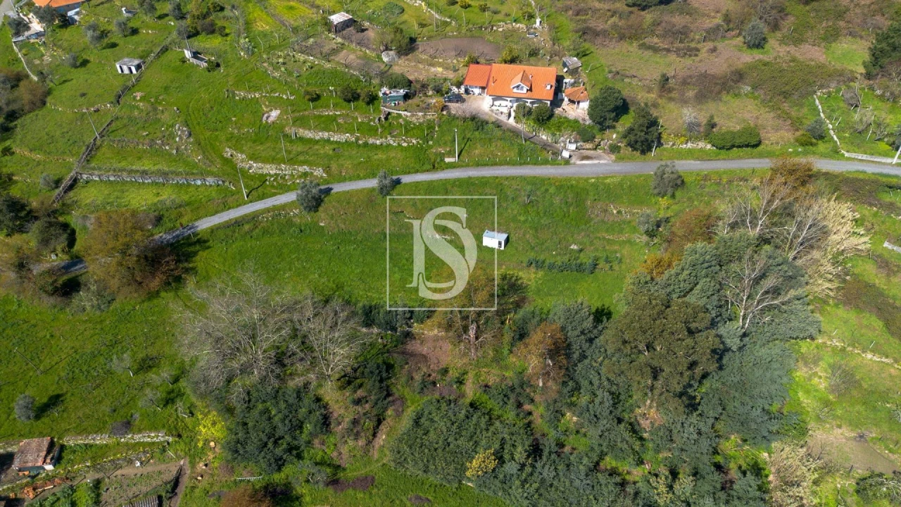 Terreno Agricola ou Rústico para Venda em Ancede e Ribadouro Foto 11