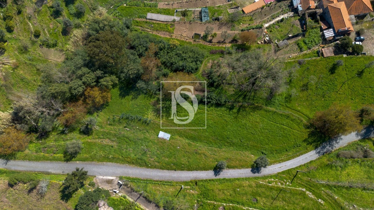 Terreno Agricola ou Rústico para Venda em Ancede e Ribadouro Foto 8