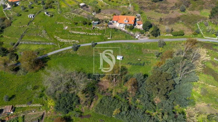 Terreno Agricola ou Rústico para Venda em Ancede e Ribadouro Foto 11