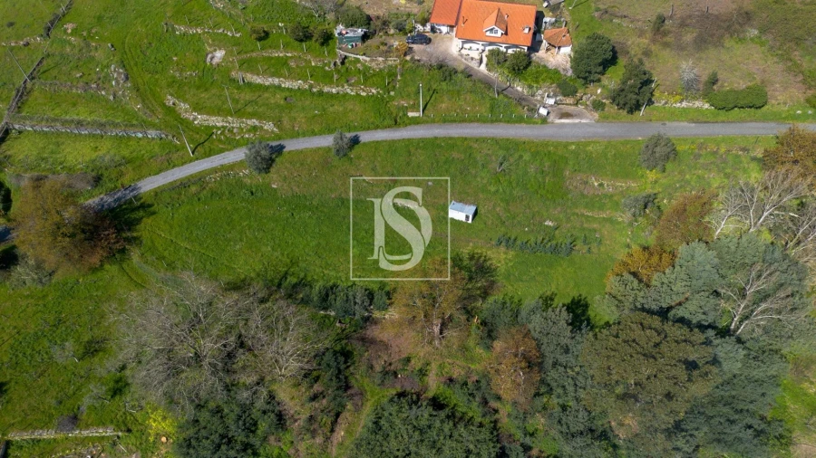 Terreno Agricola ou Rústico para Venda em Ancede e Ribadouro Foto 12