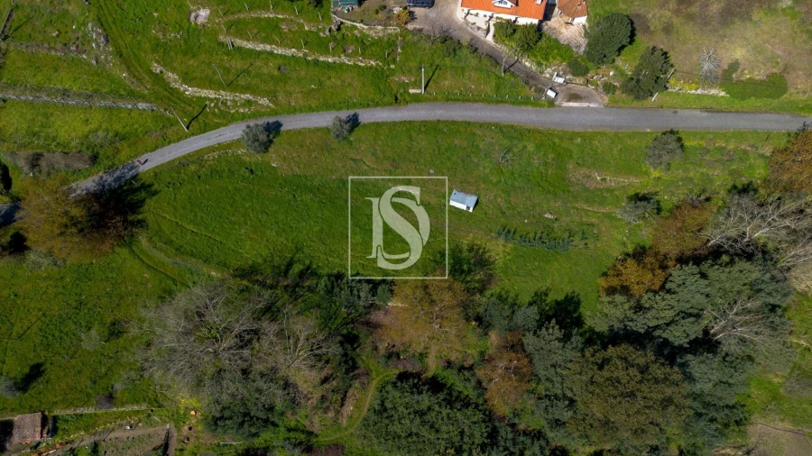 Terreno Agricola ou Rústico para Venda em Ancede e Ribadouro Foto 13