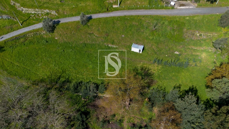 Terreno Agricola ou Rústico para Venda em Ancede e Ribadouro Foto 14