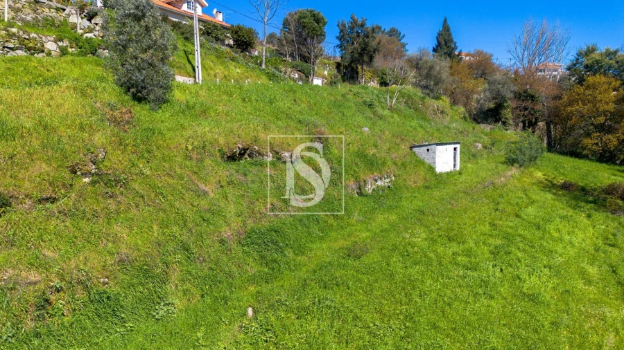 Terreno Agricola ou Rústico para Venda em Ancede e Ribadouro Foto 20